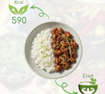 Rijst Kip Teriyaki